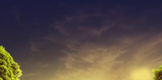 HOWDO HULIYA IN THEATERS AND OTT SIMULTANEOUSLY