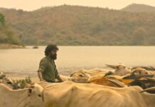 KARIKAADA: VIBRANT ENTRY OF KADA NATARAJ