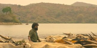 KARIKAADA: VIBRANT ENTRY OF KADA NATARAJ