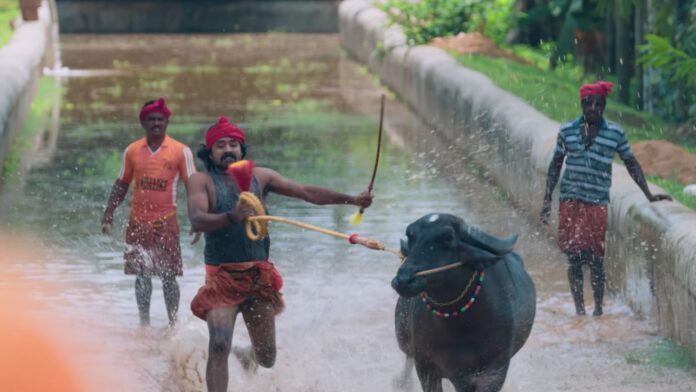 Veera Kambala (2)